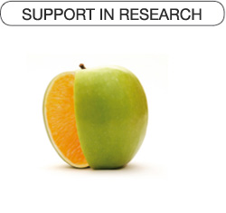 support in research