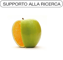 supporto alla ricerca